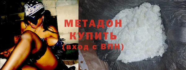 шишки Арсеньев