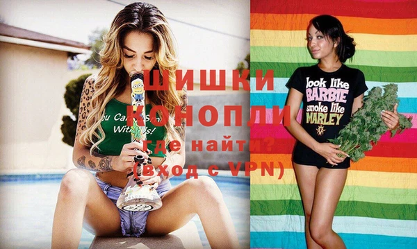 шишки Арсеньев