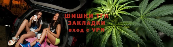 шишки Армянск
