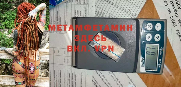 шишки Арсеньев