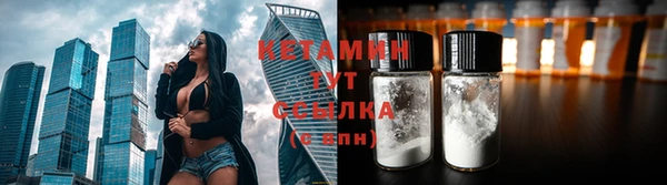 шишки Арсеньев