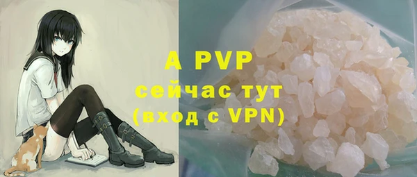 шишки Армянск