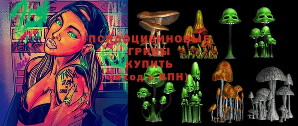шишки Армянск