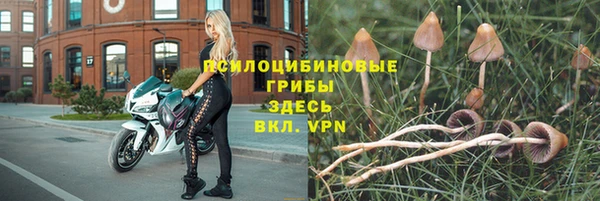 шишки Армянск