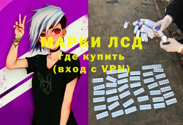 шишки Арсеньев