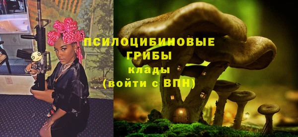 шишки Армянск