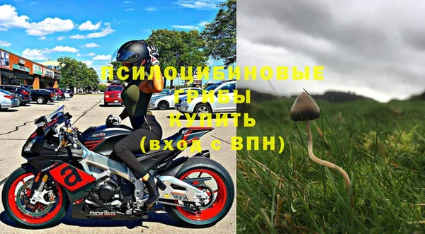 шишки Арсеньев