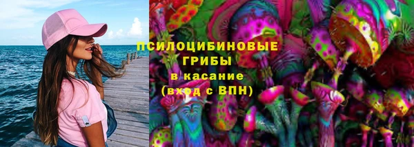 прущий лед Аркадак