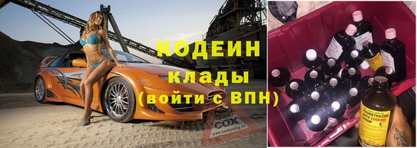 шишки Армянск