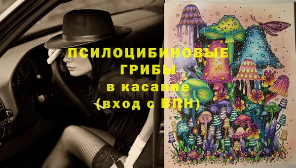 шишки Армянск
