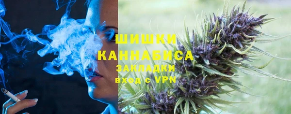 шишки Арсеньев