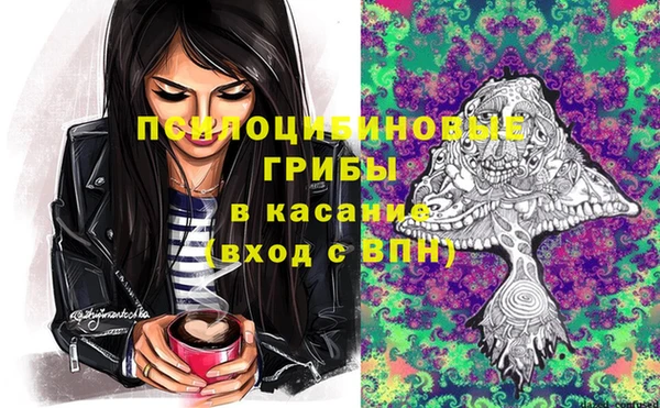 прущий лед Аркадак